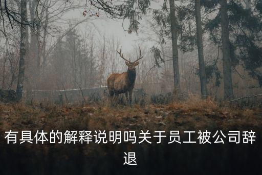 有具體的解釋說明嗎關于員工被公司辭退
