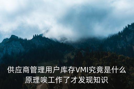 供應(yīng)商管理用戶庫存VMI究竟是什么原理唉工作了才發(fā)現(xiàn)知識(shí)