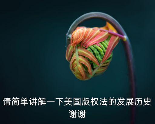 美國(guó)版權(quán)法，美國(guó)版權(quán)法的精神
