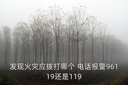 發(fā)現(xiàn)火災(zāi)應(yīng)撥打哪個(gè) 電話(huà)報(bào)警96119還是119