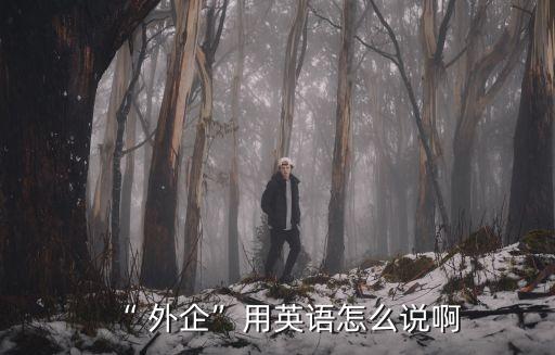 “ 外企”用英語怎么說啊