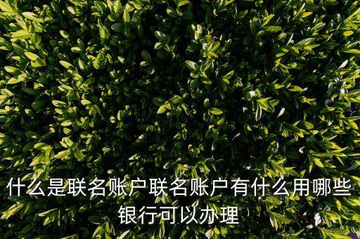 聯(lián)名賬戶，什么叫聯(lián)名戶口