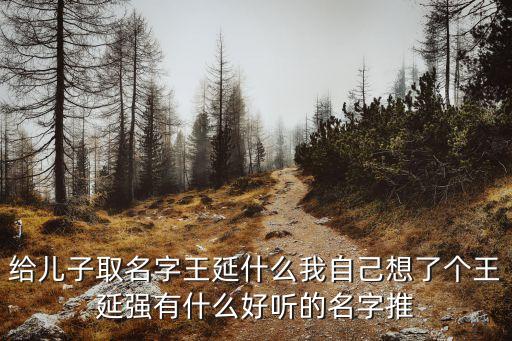 王延輝，老兵這部電視劇誰是導(dǎo)演