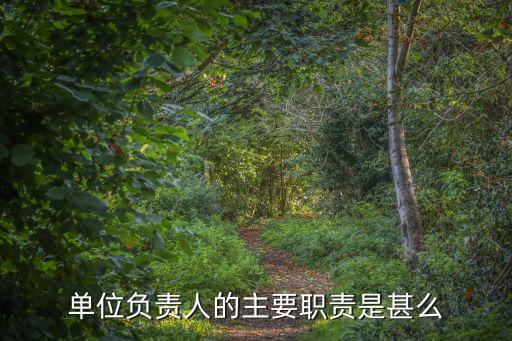 單位負(fù)責(zé)人，施工企業(yè)項(xiàng)目負(fù)責(zé)人重要負(fù)責(zé)人和單位負(fù)責(zé)人 分別具體指什么人