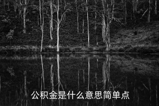 公積金啥意思,下載公積金app