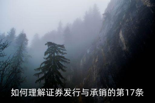 如何理解證券發(fā)行與承銷的第17條