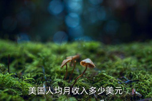 美國人均月收入多少美元