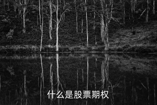 股票期權(quán)，股票期權(quán)是什么敘述明白點(diǎn)