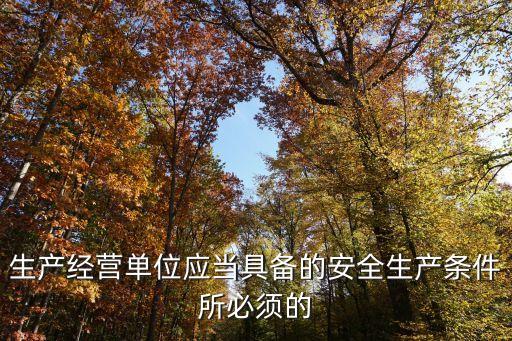 生產(chǎn)經(jīng)營單位應(yīng)當(dāng)具備的安全生產(chǎn)條件所必須的