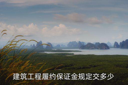 履約保證金最新規(guī)定，建筑工程履約保證金規(guī)定交多少
