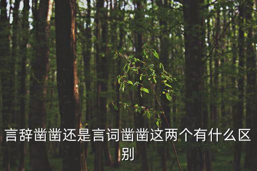 言辭鑿鑿還是言詞鑿鑿這兩個(gè)有什么區(qū)別