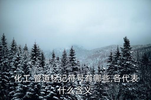 化工管道