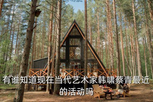 有誰知道現(xiàn)在當(dāng)代藝術(shù)家韓嘯蔡青最近的活動嗎
