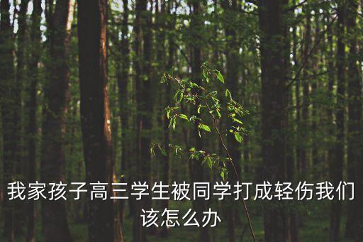 高中生被，我是高中生在學(xué)校里被退宿和嚴(yán)重警告處分怎么辦