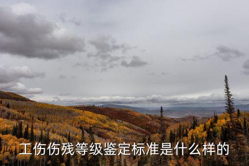 工傷等級鑒定標(biāo)準(zhǔn)，工傷等級鑒定標(biāo)準(zhǔn)