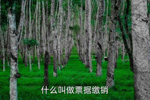 繳銷，發(fā)票驗(yàn)舊繳銷是什么意思