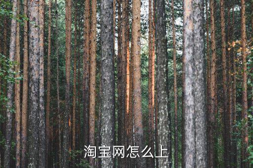 淘寶網(wǎng)怎么上