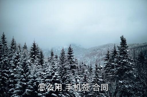 手機(jī)制作電子合同,怎么制作電子合同簽字