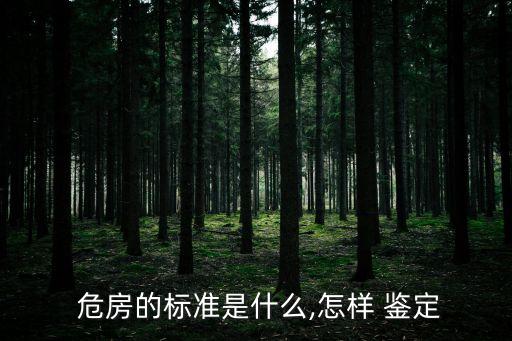 危房鑒定