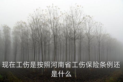 河南省工傷保險(xiǎn)條例，河南省工傷保險(xiǎn)條例2010有哪些變動(dòng)
