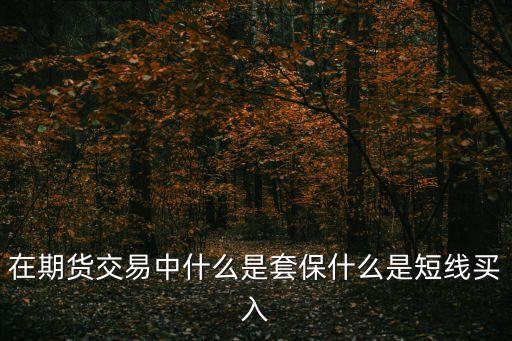 在期貨交易中什么是套保什么是短線買入