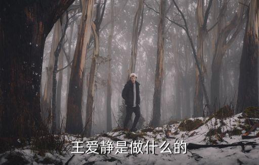王華偉