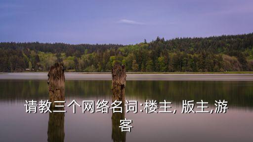 請教三個網(wǎng)絡(luò)名詞:樓主, 版主,游客