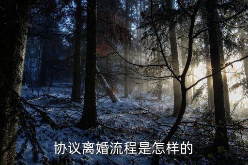 協(xié)議離婚流程是怎樣的
