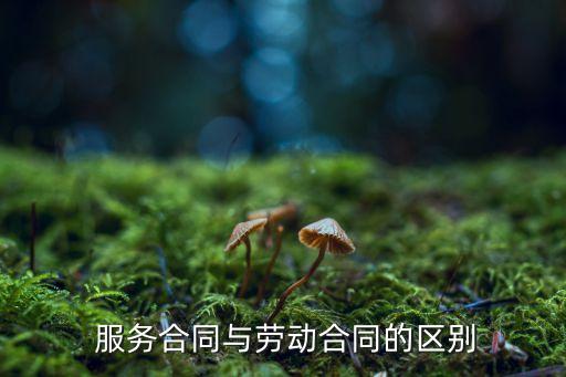  服務(wù)合同與勞動(dòng)合同的區(qū)別