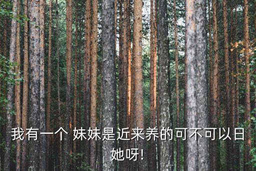 我有一個 妹妹是近來養(yǎng)的可不可以日她呀!