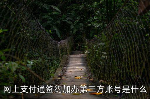 定向增發(fā)網(wǎng)，網(wǎng)上支付通簽約加辦第三方賬號是什么