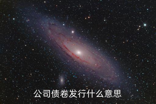 公司債卷發(fā)行什么意思