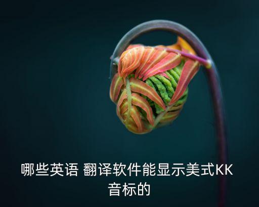 看音標(biāo)寫單詞翻譯器,單詞音標(biāo)翻譯器在線使用