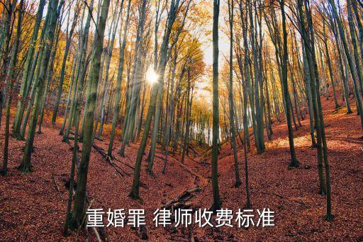 重婚罪 律師收費(fèi)標(biāo)準(zhǔn)