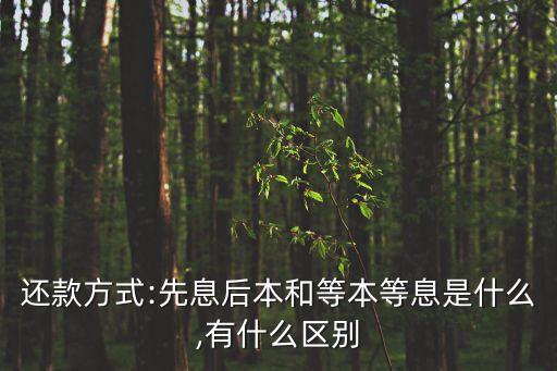 還款方式:先息后本和等本等息是什么,有什么區(qū)別