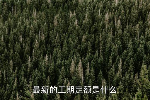 工期定額，請問下工期定額的問題