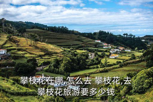 攀枝花在哪里,四川攀枝花在哪里