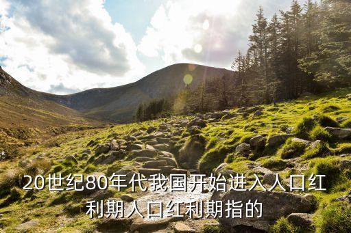 什么是人口紅利，二維的平方是什么概念