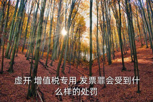 虛開增值稅發(fā)票