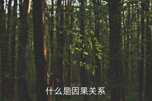 什么是因果關(guān)系