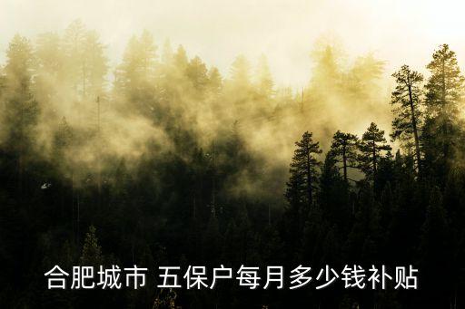 五保戶一個(gè)月多少錢,舒城縣五保戶一個(gè)月多少錢