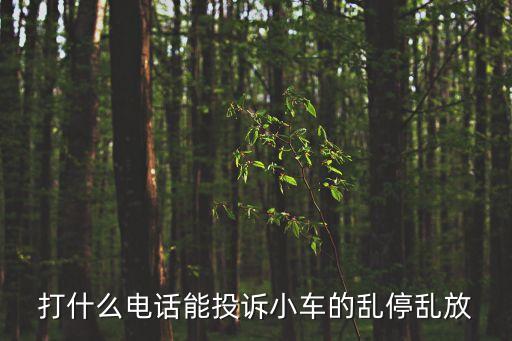 打什么電話能投訴小車的亂停亂放