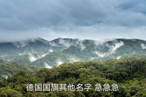 德國國旗其他名字 急急急