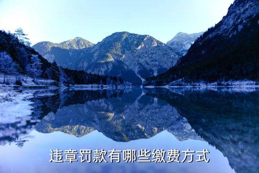 違章繳費，違章罰款有哪些繳費方式