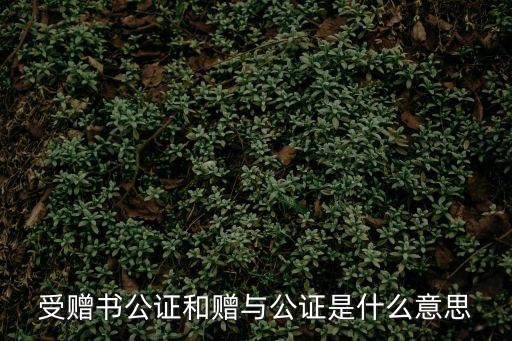 受贈(zèng)書(shū)公證和贈(zèng)與公證是什么意思