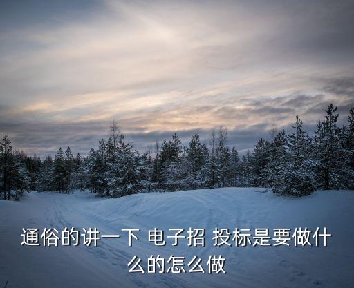 電子投標(biāo)