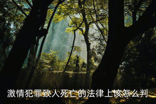 激情犯罪致人死亡的法律上該怎么判