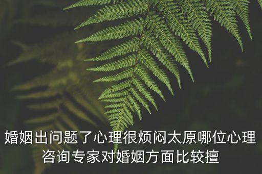 婚姻咨詢專家，婚姻出問(wèn)題了心理很煩悶太原哪位心理咨詢專家對(duì)婚姻方面比較擅