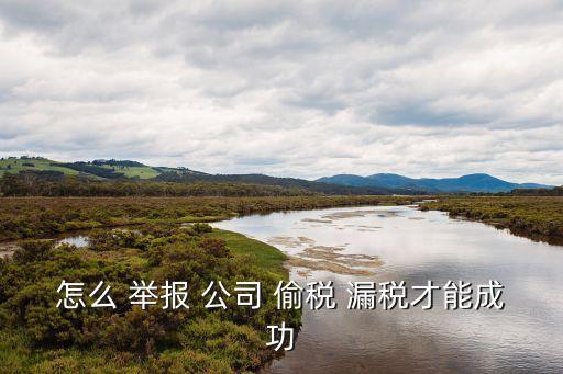 舉報(bào)公司偷稅漏稅