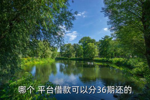 哪個(gè) 平臺(tái)借款可以分36期還的